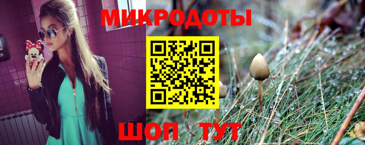 Заинск  Галлюциногенные грибы прущие грибы  Вход с VPN 